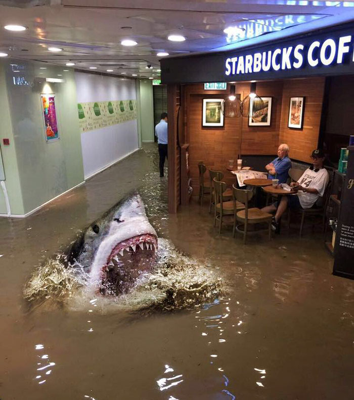 flood starbucks meme