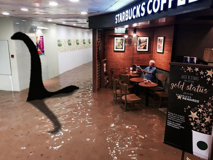 chai wan flood starbucks - Starbucks Cot Justb Stars gold status Rewards