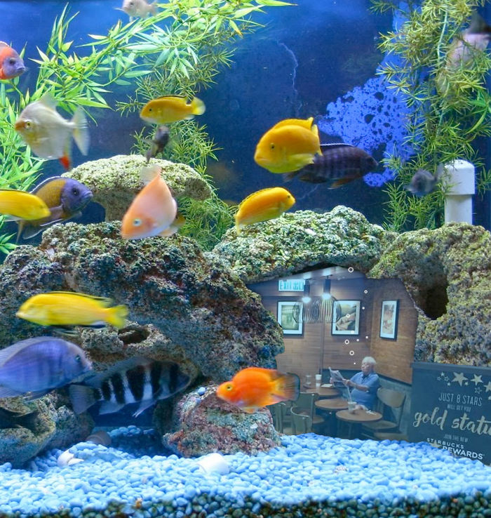 aquarium shop - Er Just 8 Stars gold statu Stewards