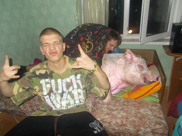 russia - fuck war pig