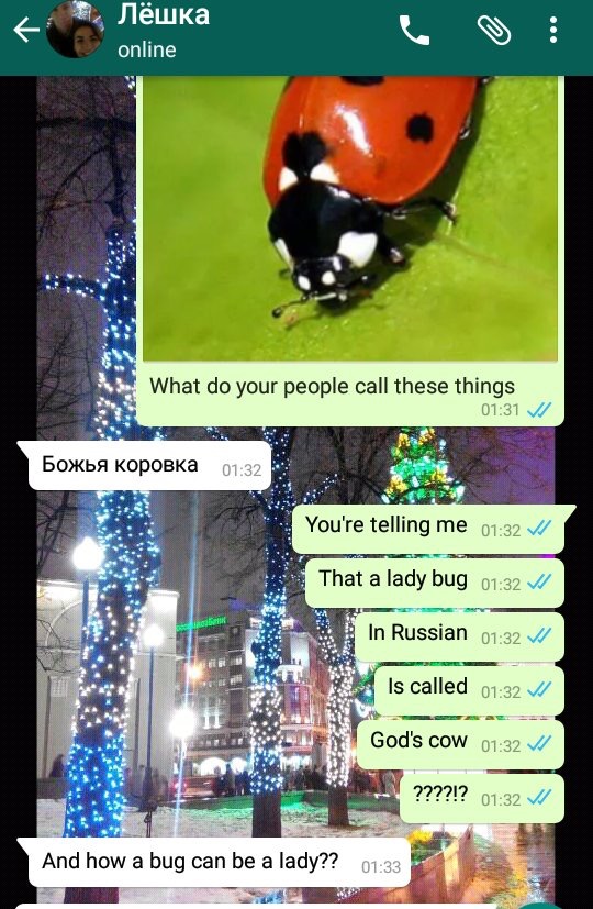 russia - god's cow russian - online What do your people call these things V BoxKbA kopolka You're telling me Vi That a lady bug V In Russian V Is called V1 God's cow ????!? And how a bug can be a lady??