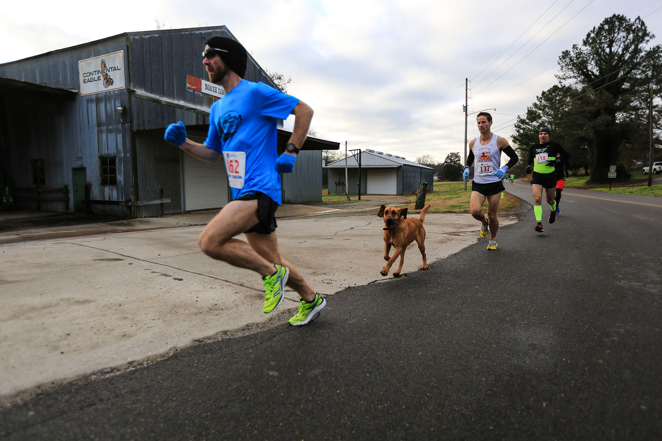 Early Saturday morning, Ludivine, a two-and-a-half-year-old hound dog, was let out of the house in Elkmont, Alabama, to do her business.