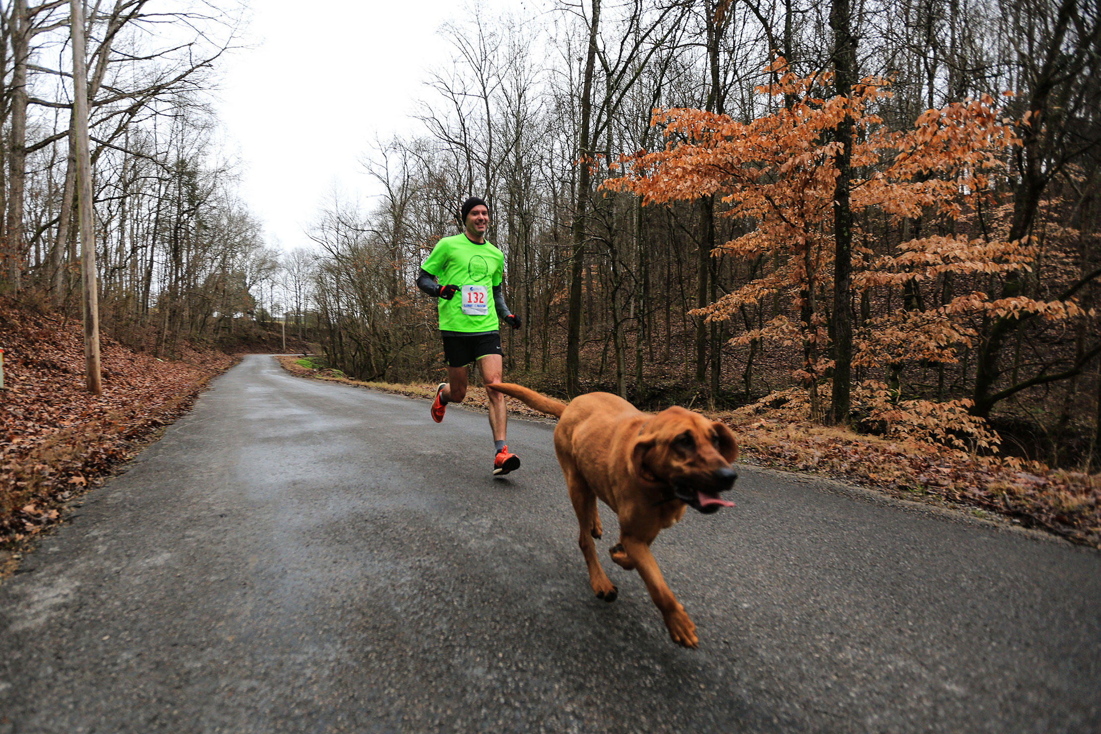 Ludivine proceeded to mingle with the runners, run the entire 13.1-mile course, cross the finish line in an unofficial 1:32:56, and have a medal draped over her floppy brown ears—all without her owner, April Hamlin, realizing she had wandered off in the first place. The incident was first reported in Canadian Running Magazine.