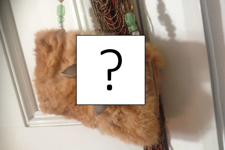 When Claire Hobbs a taxidermist from New Zealand posted her new handbag project people reacted violently. People said "This is sick! Take it down!" and "You sick, disgusting people" because the purse was made of...