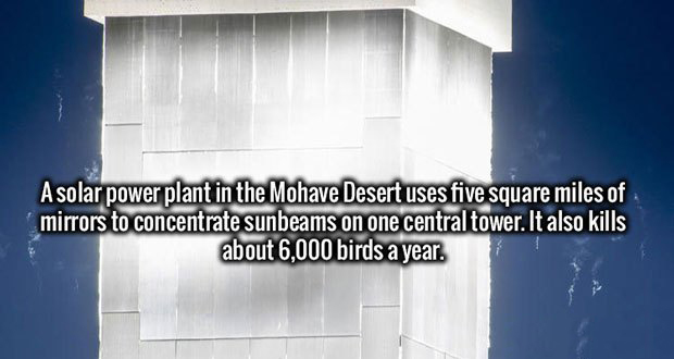 architecture - A solar power plant in the Mohave Desert uses five square miles of mirrors to concentrate sunbeams on one central tower. It also kills about 6,000 birds a year.