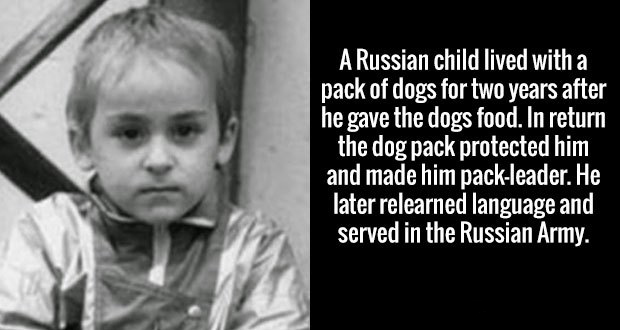 kids raised by animals - A Russian child lived with a pack of dogs for two years after he gave the dogs food. In return the dog pack protected him and made him packleader. He later relearned language and served in the Russian Army.