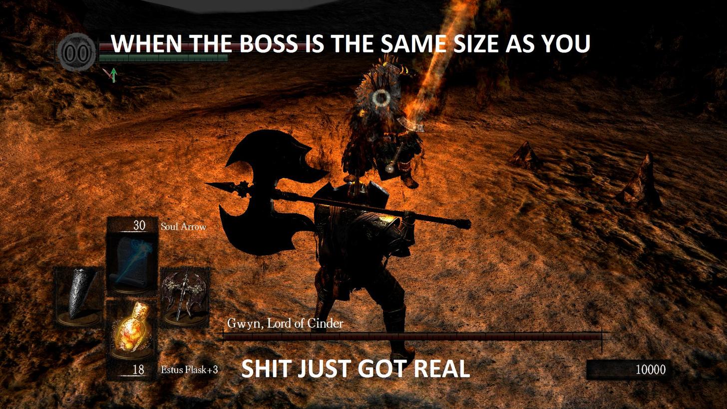 boss fight meme - When The Boss Is The Same Size As You 30 Soul Arrow Gwyn, Lord of Cinder 18 18 Estus Flask3 Shit Just Got Real Estus Flask3 10000