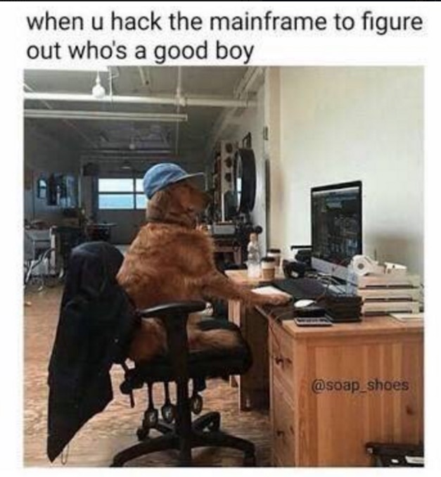 hacking into the mainframe meme - when u hack the mainframe to figure out who's a good boy shoes