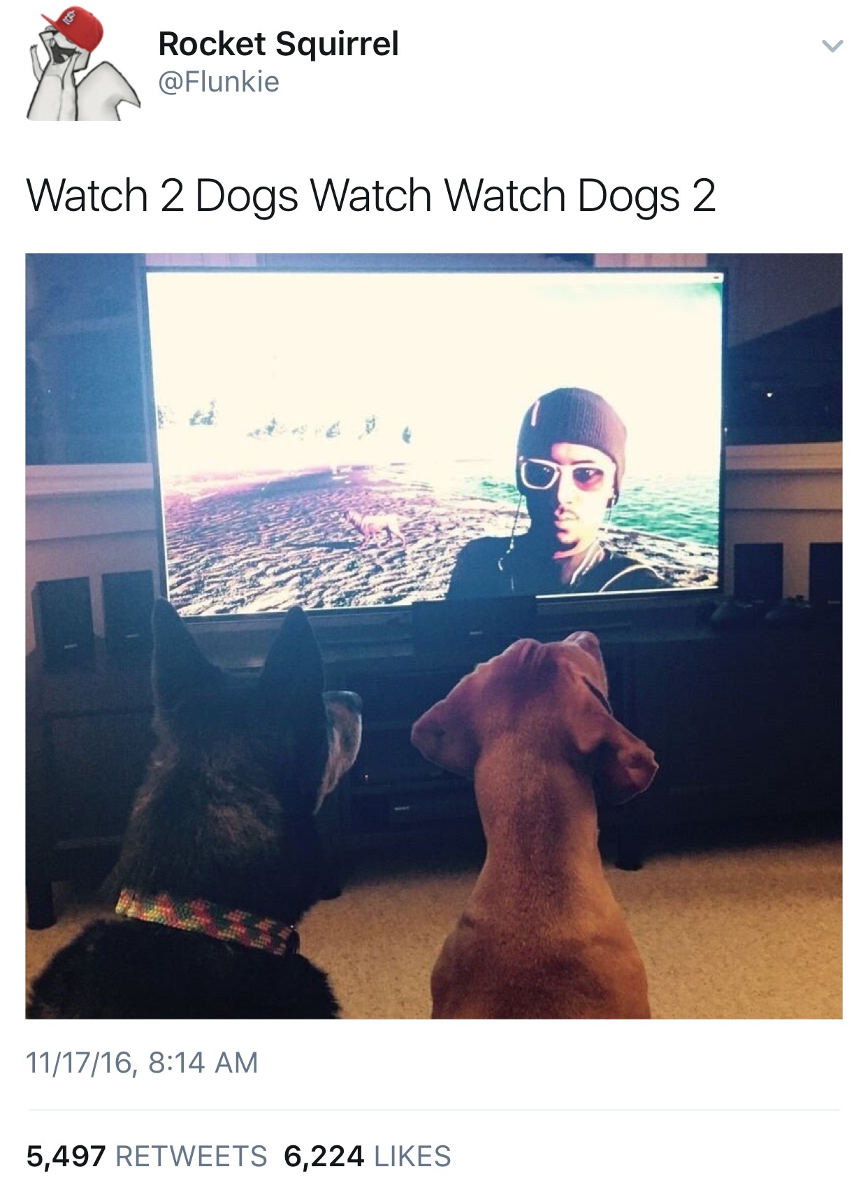 watch 2 dogs watch watch dogs 2 - Rocket Squirrel Watch 2 Dogs Watch Watch Dogs 2 111716, 5,497 6,224