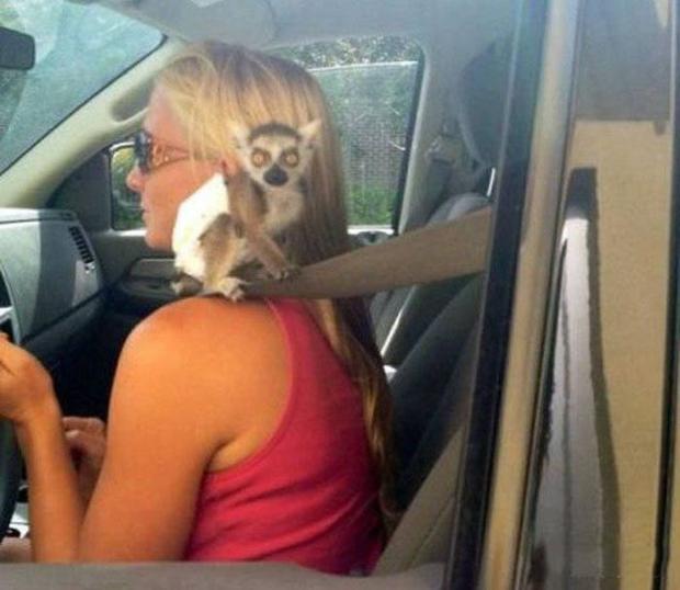 The Best Women Drivers' Fails And Wins