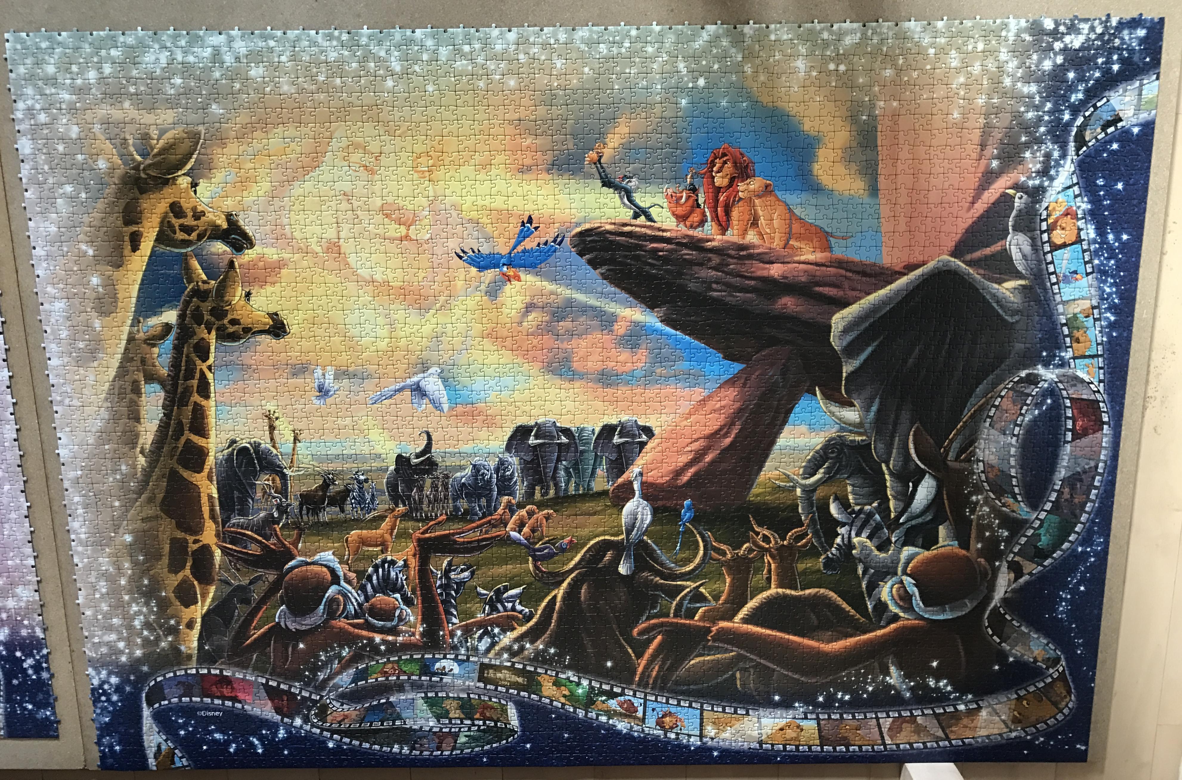 Girl Completes 40,320 Pieces Largest Jigsaw Puzzle