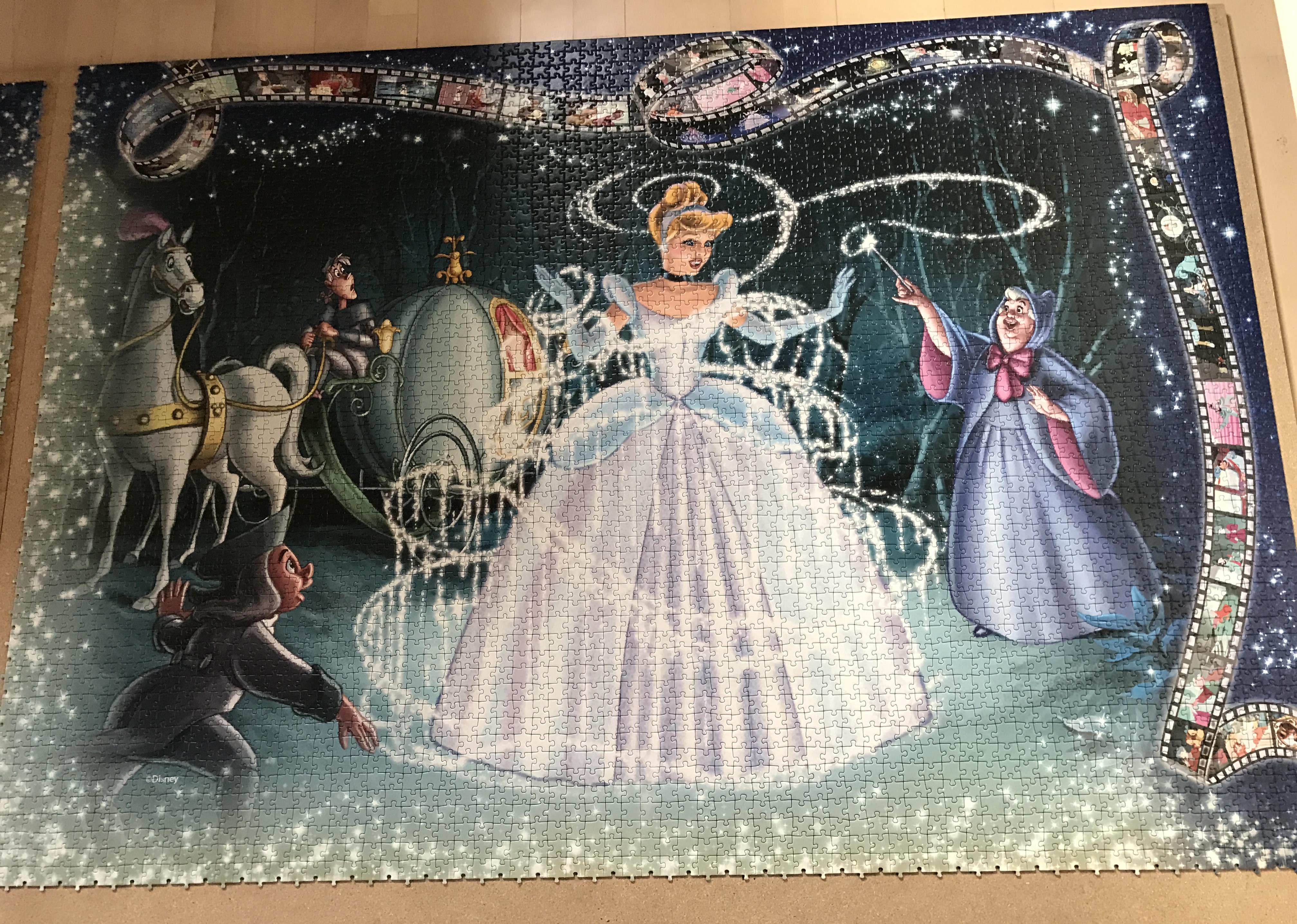 Girl Completes 40,320 Pieces Largest Jigsaw Puzzle