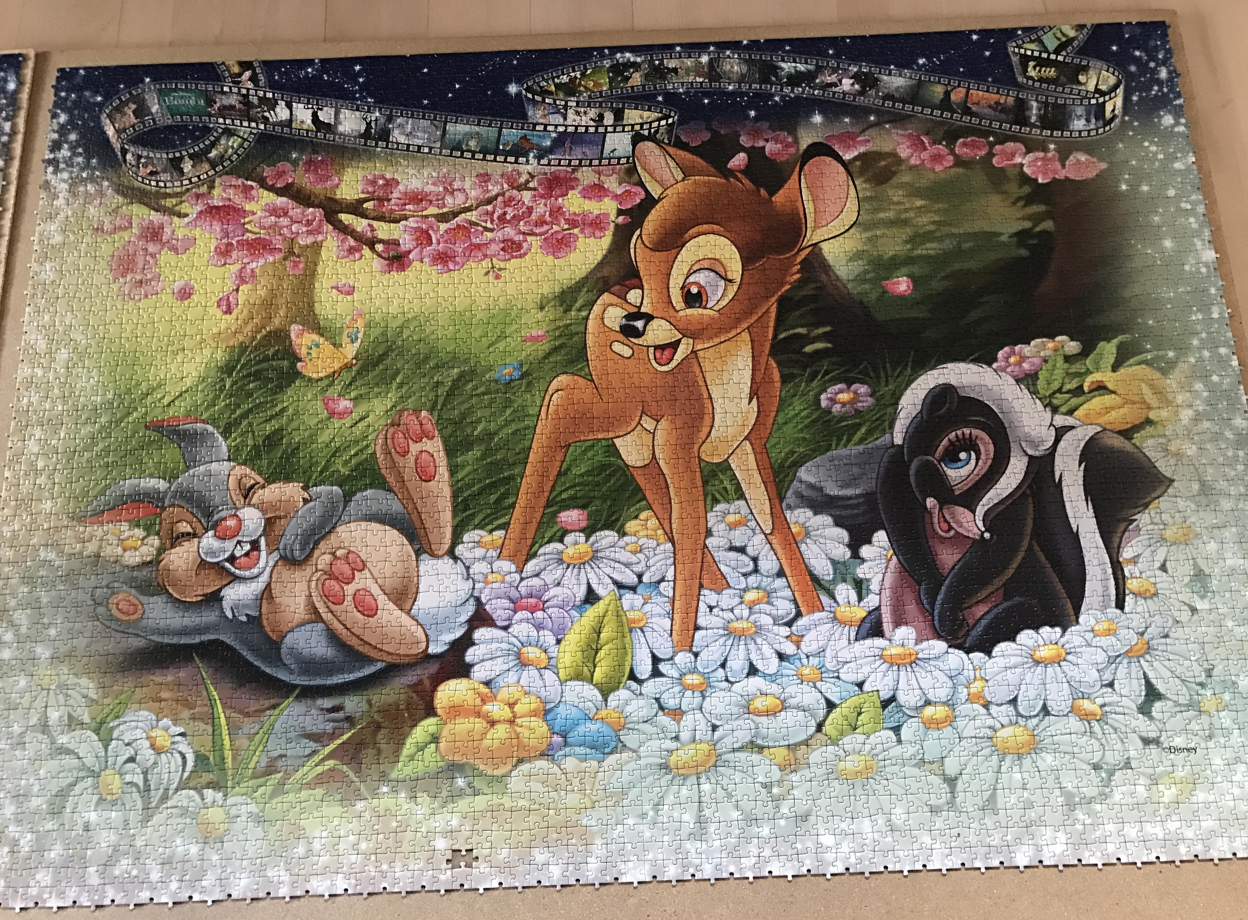 Girl Completes 40,320 Pieces Largest Jigsaw Puzzle