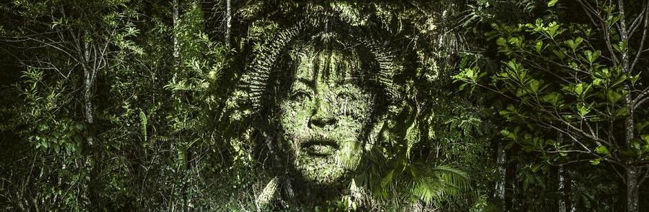 Is Projecting Faces On Amazon Jungle "Art" or More Of A Statement?
