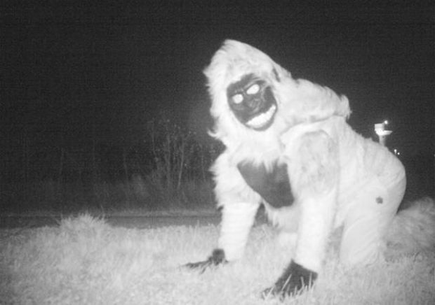 Kansas Police Tries To Catch A Mountain Lion, Catches Something Totally Different Instead