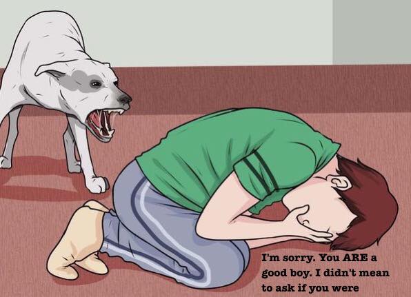 wikihow image macros memes - I'm sorry. You Are a good boy. I didn't mean to ask if you were