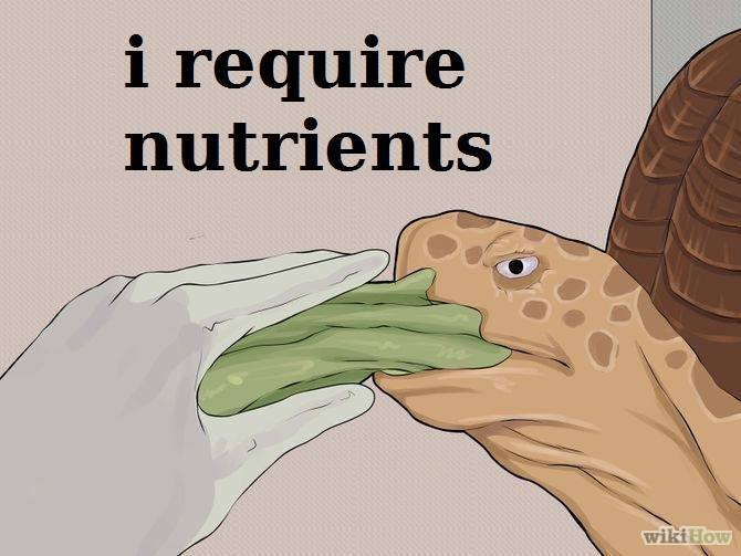 require nutrients wikihow - i require nutrients wikiHow