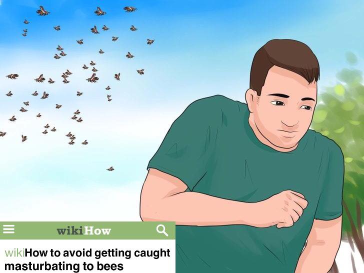 avoid getting caught masturbating to bees - Ar wikiHow wikiHow to avoid getting caught masturbating to bees