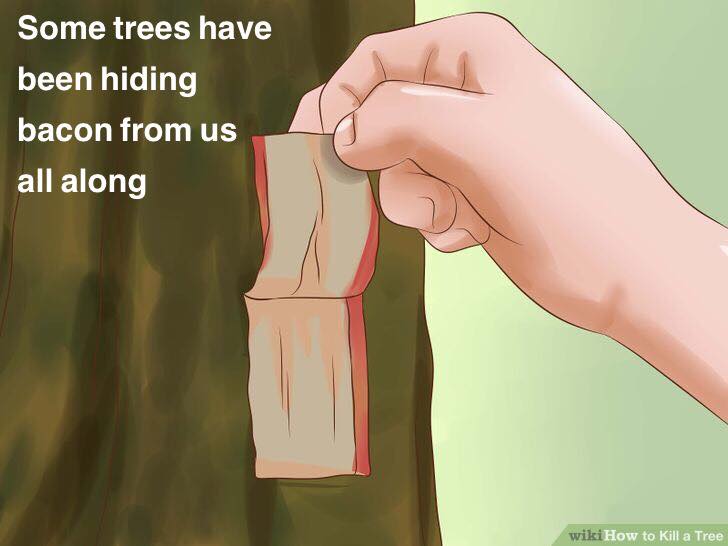 kill a tree without cutting - Some trees have been hiding bacon from us all along wikiHow to Kill a Tree