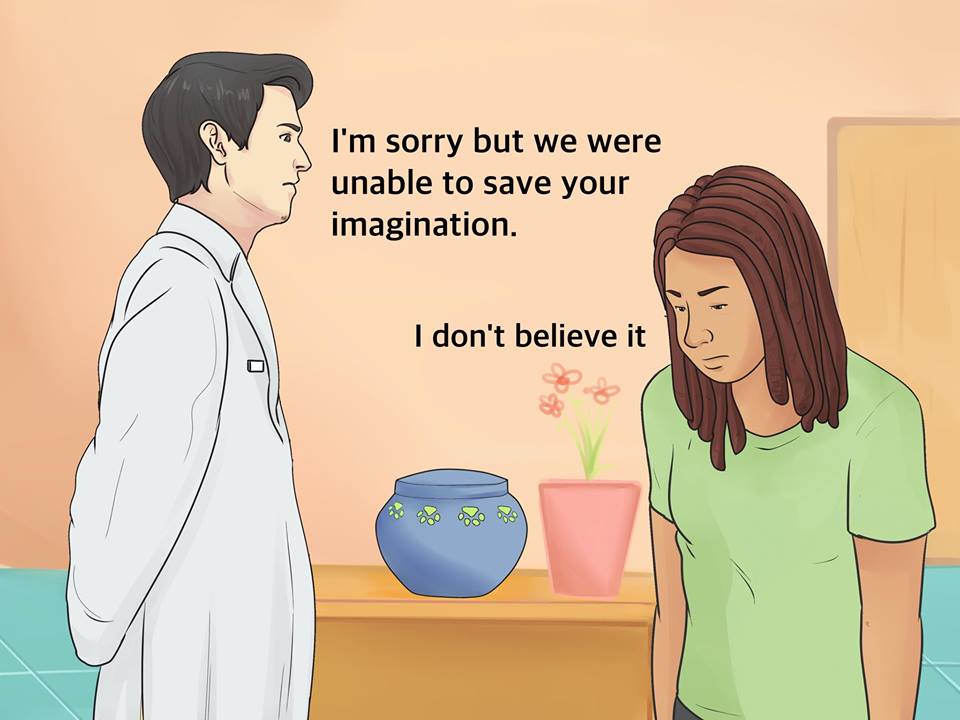 cartoon - I'm sorry but we were unable to save your imagination. I don't believe it