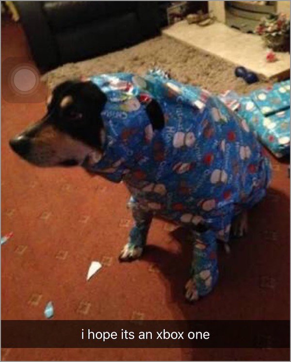 hope it's a ps4 - i hope its an xbox one