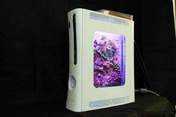 xbox 360 fish tank