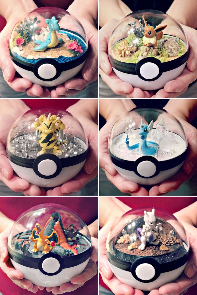 pokeball terrariums