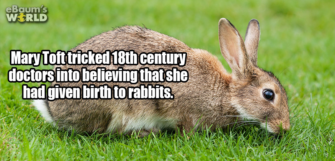 23 Fascinating Facts That Will Make You Think