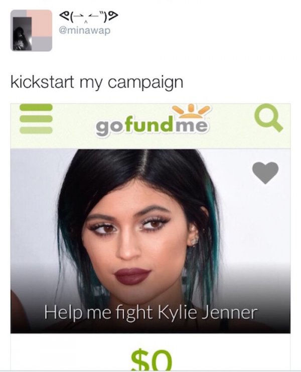 15 Crowdfunding Win And Fails That Will Leave You Speechless