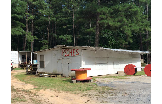 Georgia selling 'peaches' from a shack.