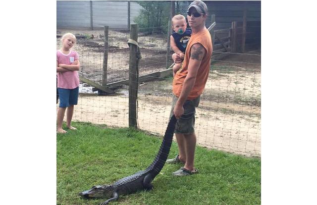Man holding a baby and an alligator by the tail in Louisiana