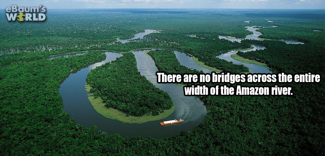 amazon river - eBaum's World There are no bridges across the entire width of the Amazon river.