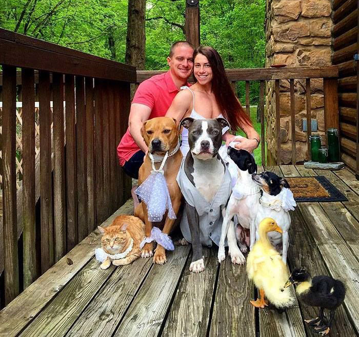Kasey and her husband Blake has been rescuing animals the most part of their life and now their small family consists of four dogs, a cat and two ducklings.