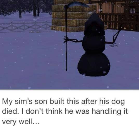 sims pets memes - My sim's son built this after his dog died. I don't think he was handling it very well...