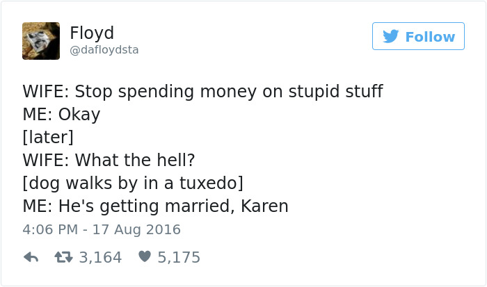 marriage hilarious tweets - Floyd Floyd y Wife Stop spending money on stupid stuff Me Okay later Wife What the hell? dog walks by in a tuxedo Me He's getting married, Karen 173,164 5,175