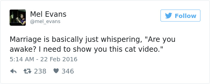 funny fails tweets - Mel Evans Marriage is basically just whispering, "Are you awake? I need to show you this cat video." 43 238 V 346