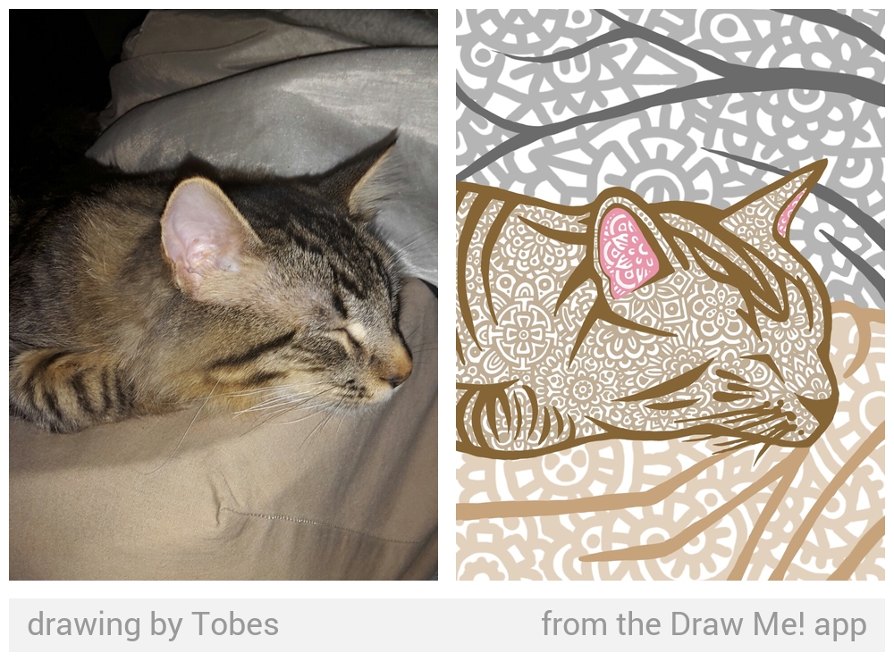 tabby cat - Viso. SE2022 So Do drawing by Tobes from the Draw Me! app