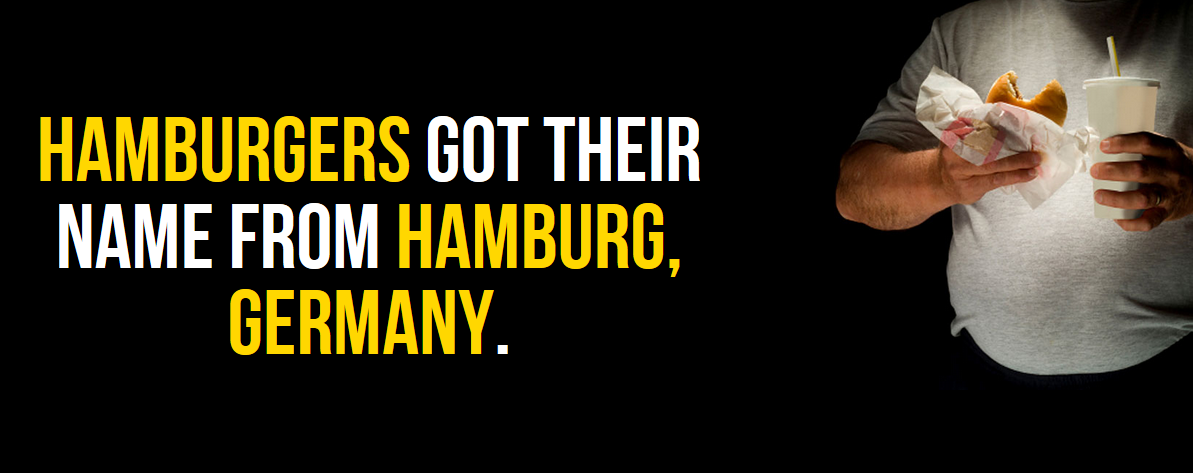 fat man eating - Hamburgers Got Their Name From Hamburg, Germany.