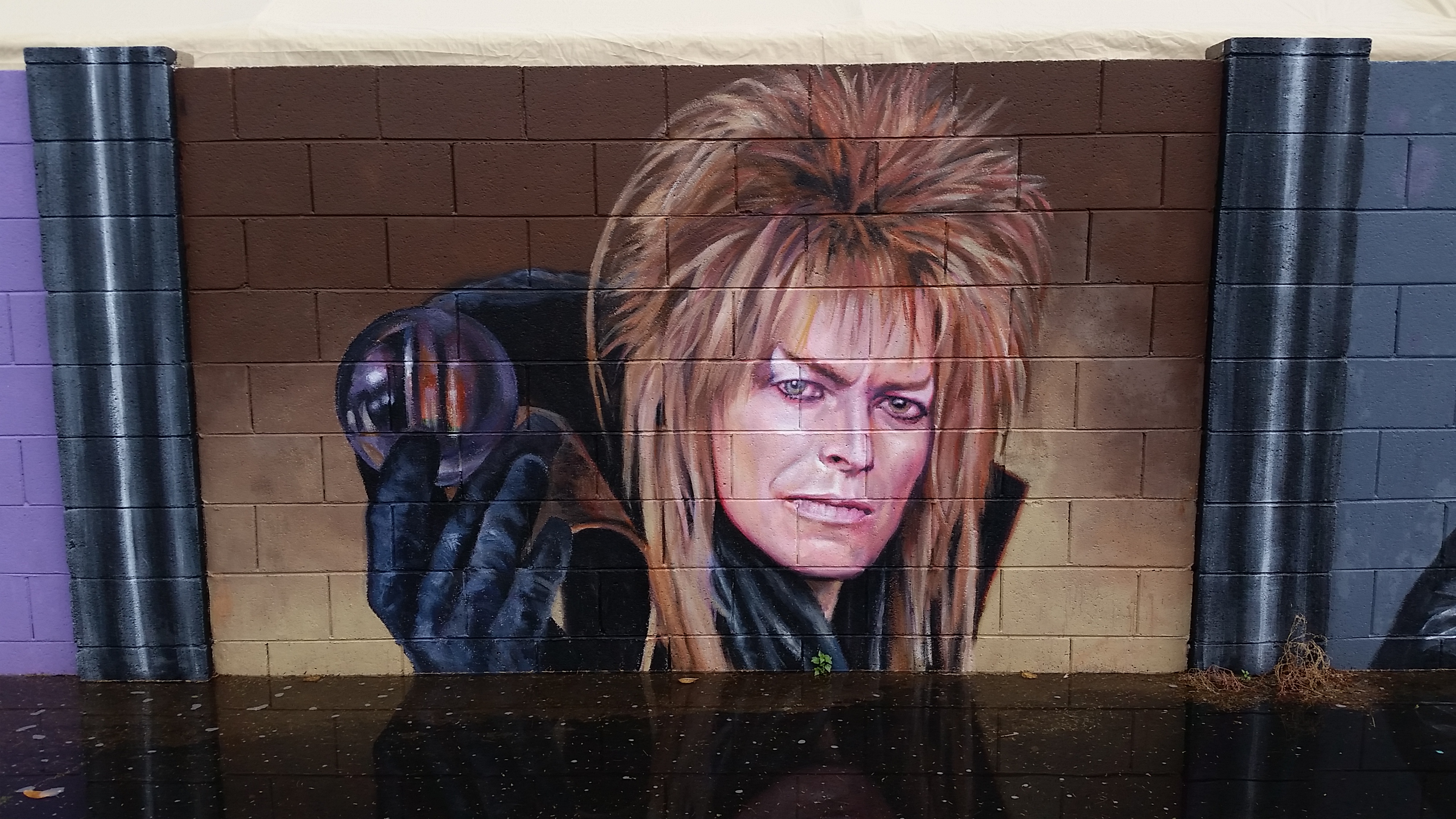 Artist Maggie Keane's Touching David Bowie Tribute In Phoenix, AZ.