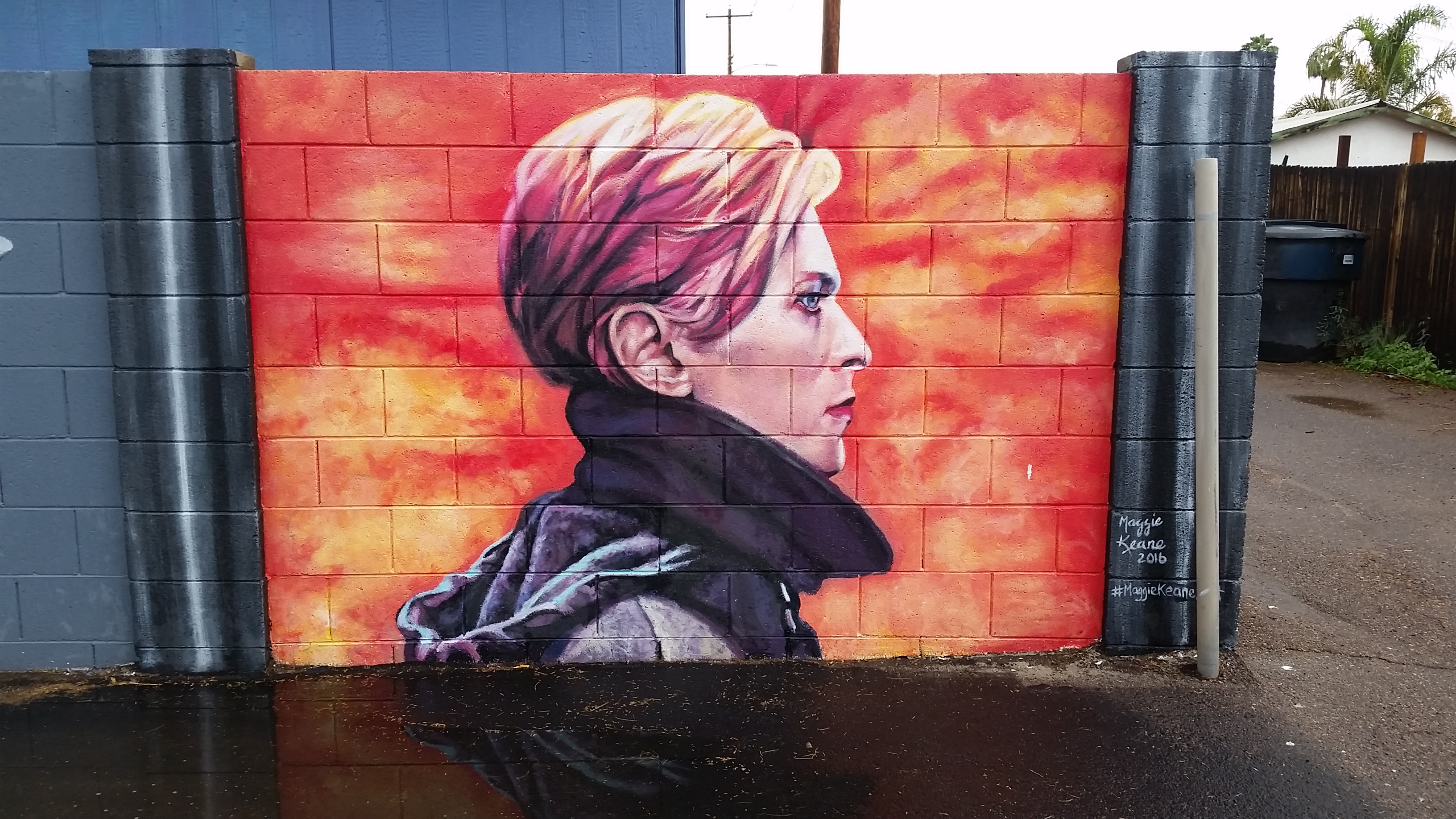 Artist Maggie Keane's Touching David Bowie Tribute In Phoenix, AZ.