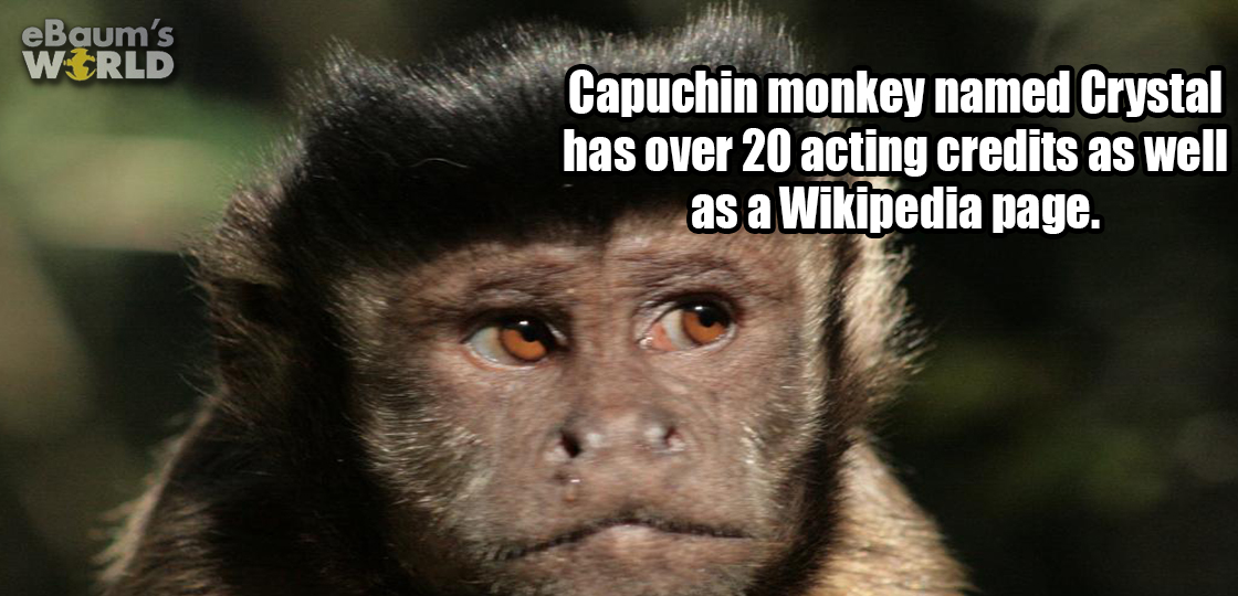 22 Stimulating Facts That Will Satisfy Your Brain