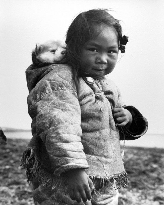 A young Inuit girl and her husky dog, 1949.