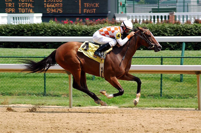 Frank Hayes was a jockey who, on June 4, 1923 suffered a fatal heart attack in the midst of a steeplechase at Belmont Park in New York State, USA. His horse came first and was considered winner despite having no living human on her back.