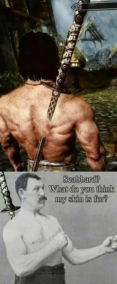 skyrim nord meme - Scabbard? What do you think my skin is for?