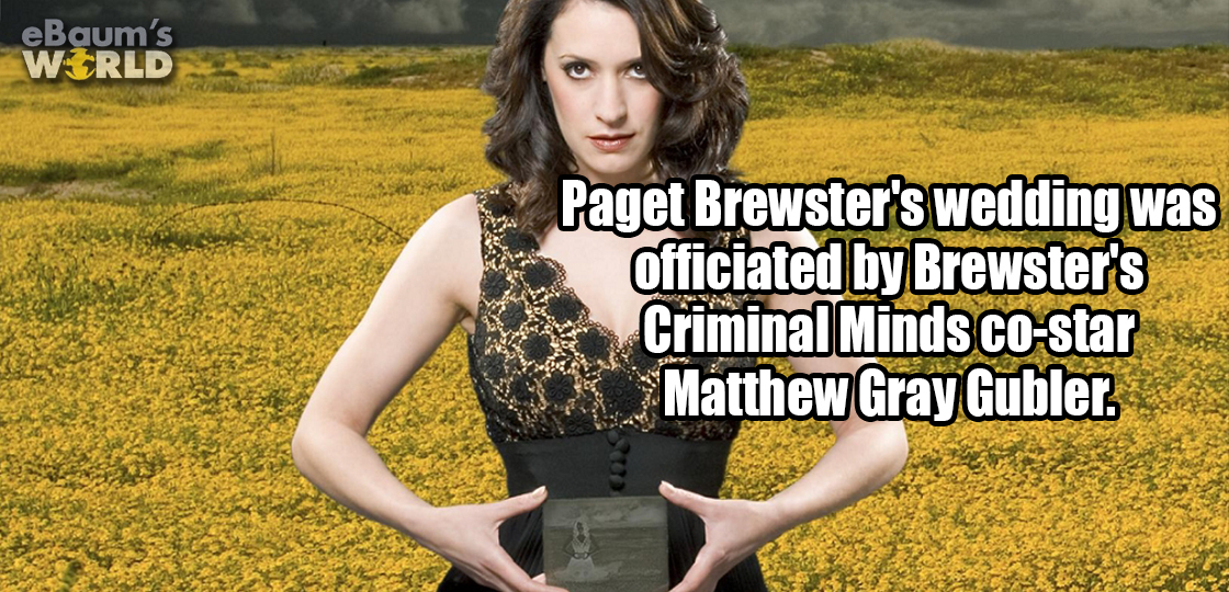 Paget Brewster - eBaum's World Paget Brewster's wedding was officiated by Brewster's Criminal Minds costar Matthew Gray Gubler.