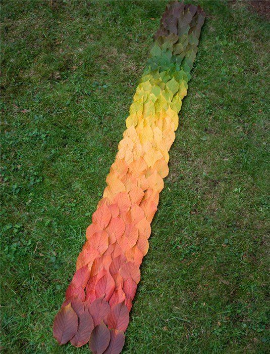 colors natural color spectrum