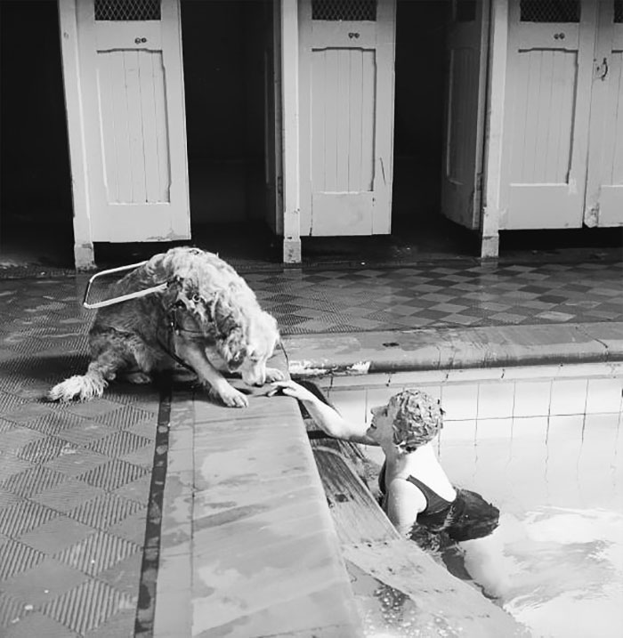 A blind woman relaxes at the local swimming pool, watched over by her guide dog, 1966.