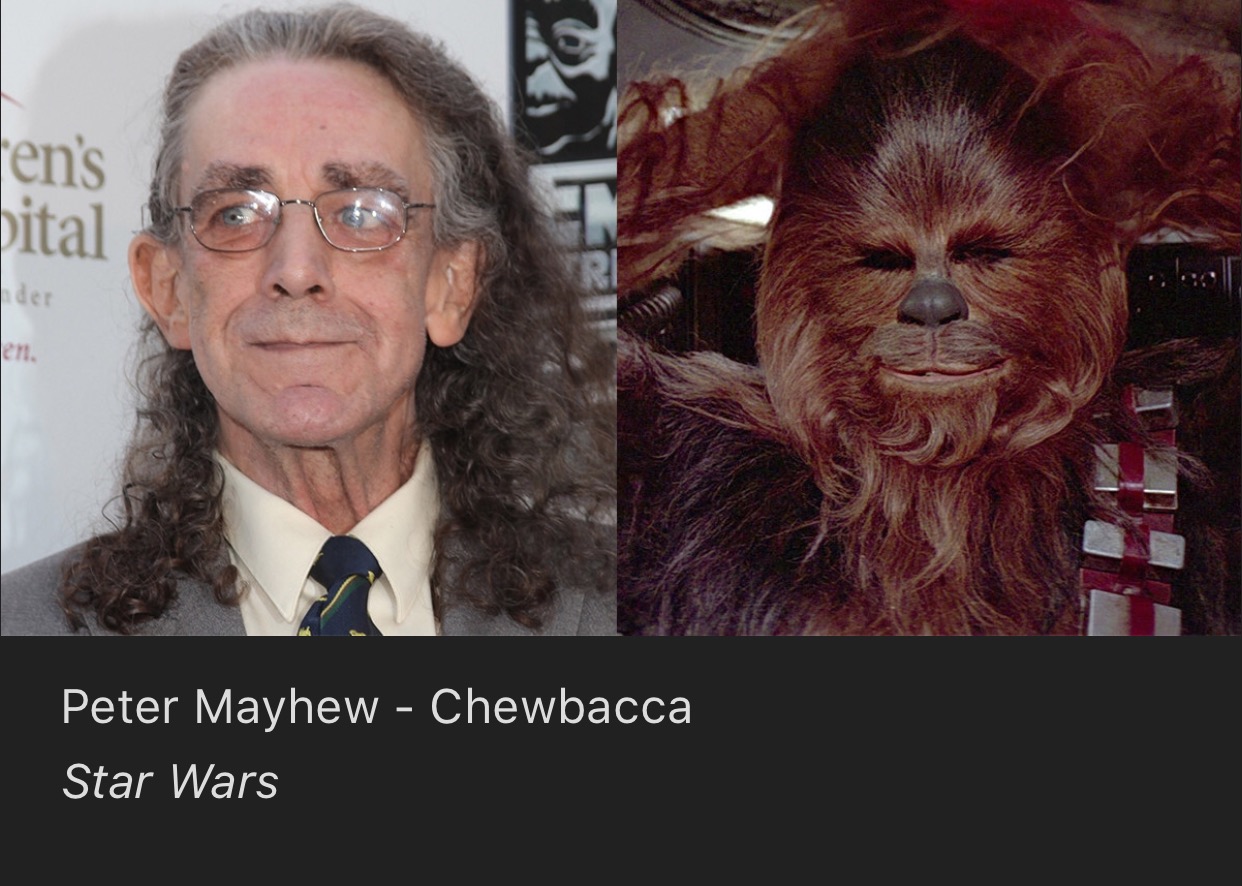 st. jude children's research hospital - fen's bital Peter Mayhew Chewbacca Star Wars