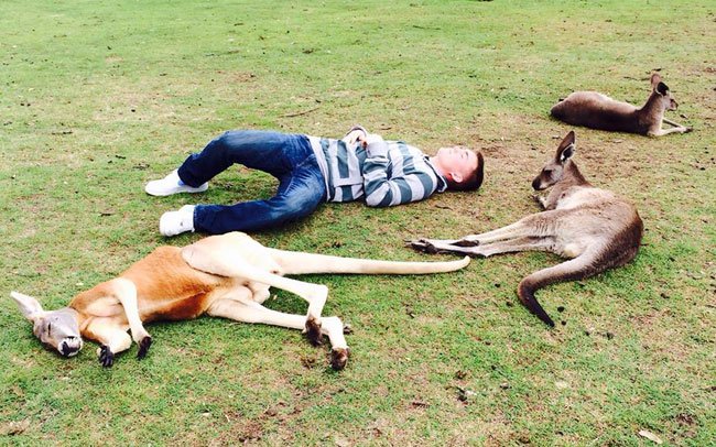 26 WTF Things You Will Only See In Australia