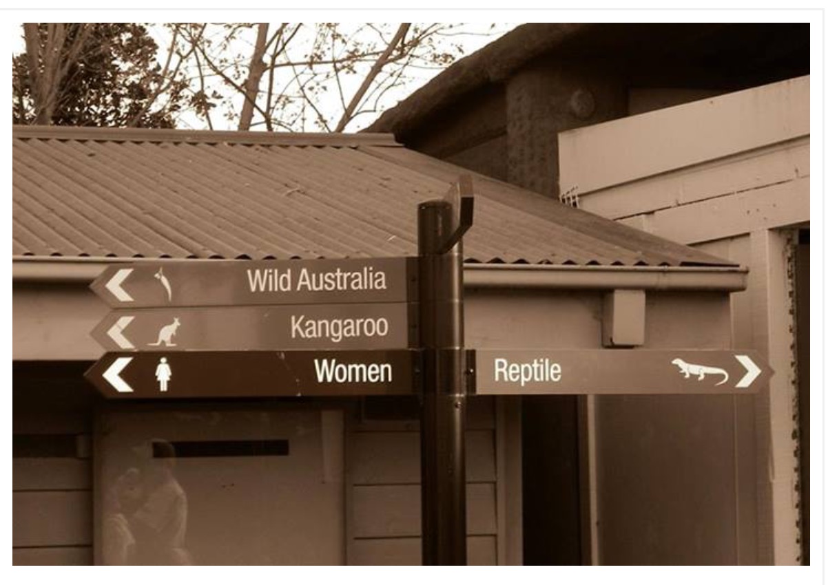 26 WTF Things You Will Only See In Australia